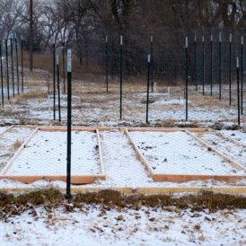 Eight Beds and Counting Image